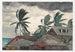 Unser Hurricane auf den Bahamas - Winslow Homer — Ansicht des Kunstwerks