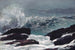 Côte du Maine - Winslow Homer — Ansicht des Kunstwerks