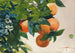 Orangen auf einem Zweig - Winslow Homer — Ansicht des Kunstwerks