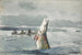 Brochet, Lac Saint-Jean, Angeln auf die Ouananiche - Winslow Homer — Ansicht des Kunstwerks