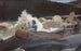 Descente des rapides, rivière Saguenay - Winslow Homer — Ansicht des Kunstwerks