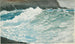 Wellen, Prouts Neck - Winslow Homer — Ansicht des Kunstwerks