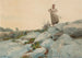 Die Scheiterhaufen-Sammlerin - Winslow Homer — Ansicht des Kunstwerks