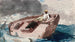 Le Gulf Stream - Winslow Homer — Ansicht des Kunstwerks