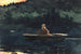 L'essor - Winslow Homer — Ansicht des Kunstwerks