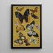 Schmetterlinge - Wu Shujun — gerahmtes Bild an der Wand