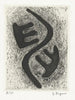 Fantasie in Schwarz - Yo Sugano — Ansicht des Kunstwerks