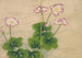 Blumen der Mauve - Zhang Ruo'ai — Ansicht des Kunstwerks