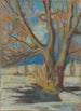 Studie eines kahlen Baumes im Winter - Zolo Palugyay — Ansicht des Kunstwerks