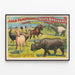 Dekoratives Vintage-Poster Exotische Tiere Adam Forepaugh & Sells Brothers — gerahmtes Bild an der Wand