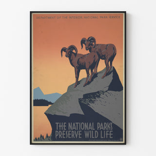 Vintage-Plakat National Parks Preserve Wild Life, in einem schmalen Rahmen an einer hellen Wand präsentiert.