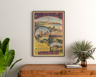 Vintage-Poster Pyrénées et Gascogne, Wintersaison, gerahmt über einer hölzernen Kommode, zwischen Pflanzen.