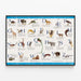 Poster Alphabet Tierwelt mit Illustrationen — gerahmtes Bild an der Wand