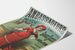 Vintage-Poster Ambassadeurs E. Faure Wanddekoration Retro