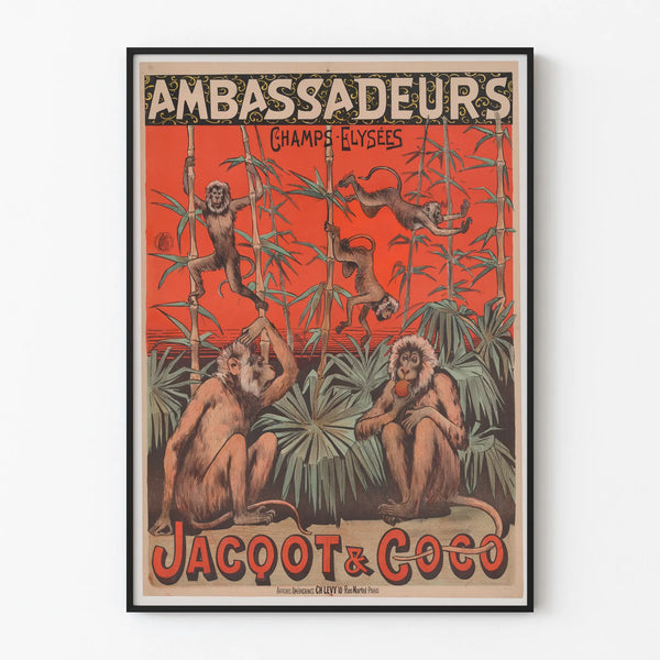 ambassadeurs-jacquot-et-coco-duo-de-singes