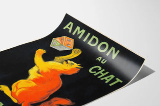 amidon-au-chat