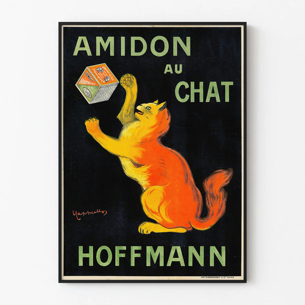 amidon-au-chat