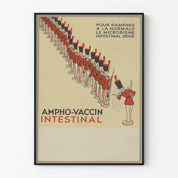 ampho-vaccin-intestinal