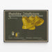 Vintage-Poster Baltische Illustrierte Zeitung mit goldenen Glocken — gerahmtes Bild an der Wand