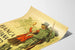Vintage-Poster der Italienischen Diskontbank – Historische Wanddekoration