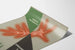 Vintage-Medizinposter BéNerva Roche – Retro-Wanddekoration