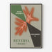 Vintage-Medizinposter BéNerva Roche – Retro-Wanddekoration