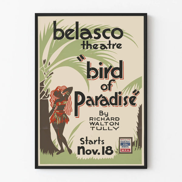bird-of-paradise-3