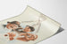 Vintage-Poster Broncho Favrot Wanddekoration Gesundheit und Atmung