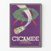 Vintage-Poster Cicamide Wundheilende Pulver