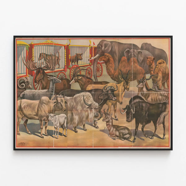 circus-animals