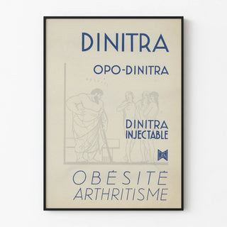 dinitra-7