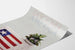 Vintage-Poster Discover America Worldnet Fernsehen Flagge