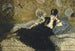 Frau mit Fächern - Édouard Manet — Ansicht des Kunstwerks