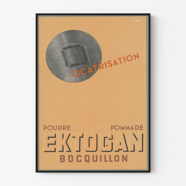 ektogan-bocquillon-2