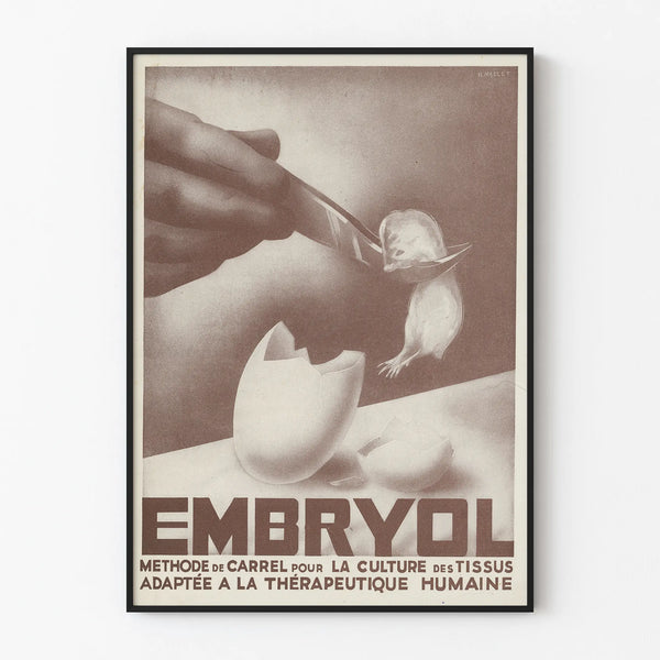 embryol
