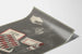 Vintage-Poster Ephesdrocampfer Wanddekoration Medizin
