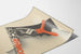 Vintage-Poster ERCE RHINOL mit beweglichem Kopf