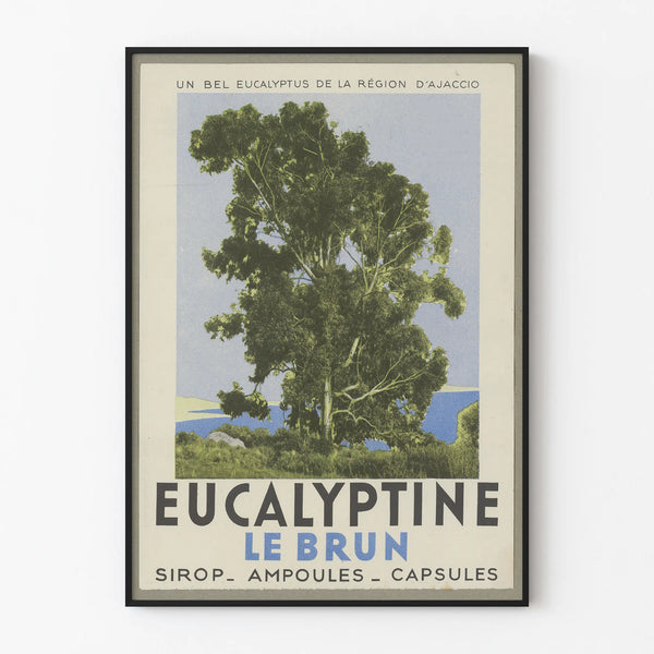 eucalyptine-le-brun-2