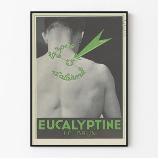 eucalyptine-le-brun-3