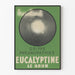 Vintage-Poster Eucalyptine Le Brun