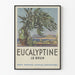 Vintage-Poster Eucalyptine Le Brun Botanische Wanddekoration