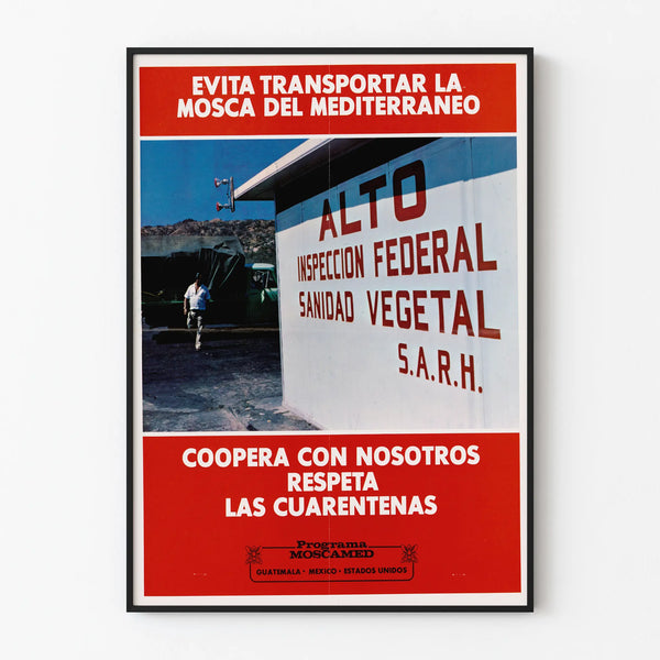 evita-transportar-la-mosca-mediterraneo