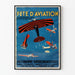 Vintage-Poster Flugfest mit Akrobatik und Rundflügen