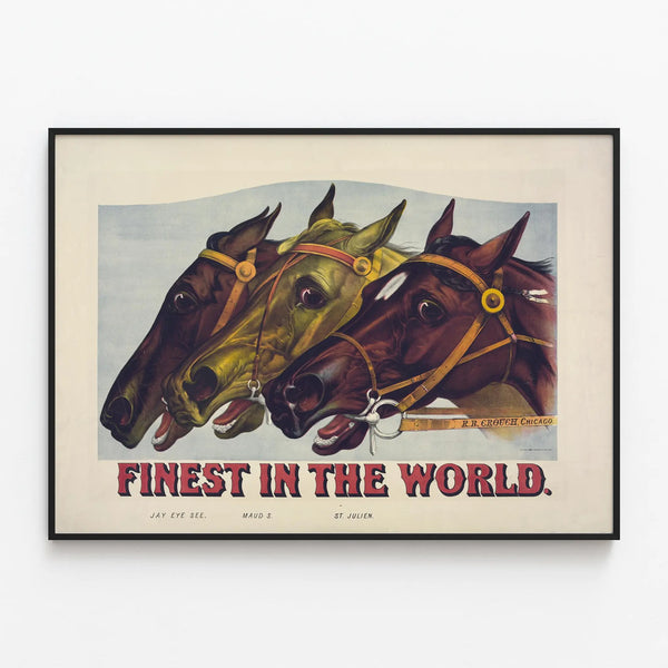 finest-in-the-world-2