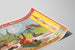 Vintage-Poster Forepaugh & Sells Brothers - Zirkusfamilie der Akrobaten Carl Damann — Ansicht des Kunstwerks