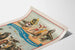 Vintage-Poster von Seelöwen- und Ottertruppe Forepaugh & Sells Brothers