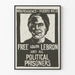 Aktivistisches Poster für die Unabhängigkeit von Puerto Rico und die Befreiung von Lolita Lebrón