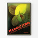 Vintage-Poster Hamacitro Wanddekoration Obst und Natur