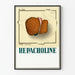 Vintage-Medizinisches Poster Leber-Hepatik-Illustration