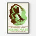 Vintage-Poster Hirudinase für venöse Beschwerden